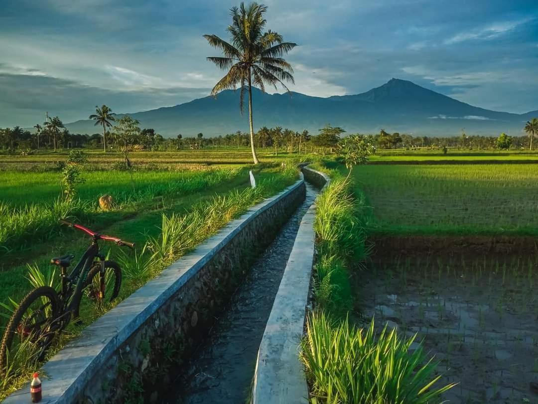 Peraja Bungalows Loyok Sangyang Zimmer foto